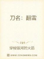 九天星途封面