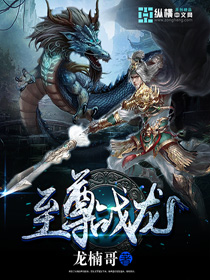 至尊战龙封面