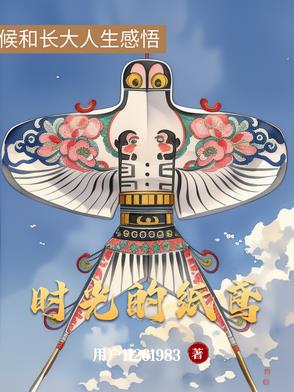 时光的纸鸢封面