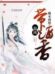 春风带酒香封面