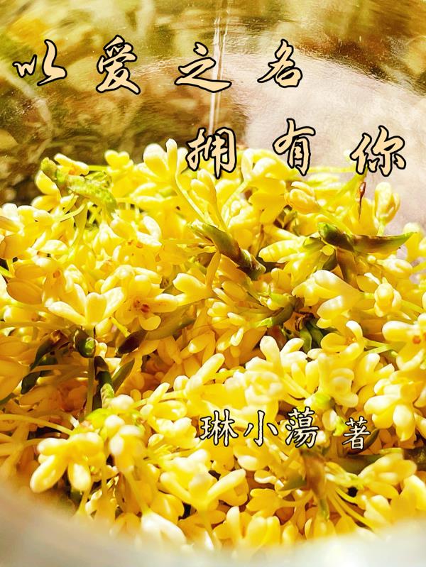 以爱之名拥有你封面