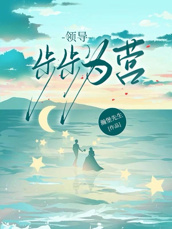 领导步步为营封面