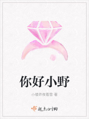 你好小野封面