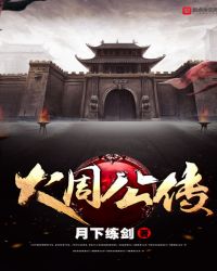 大国公传封面