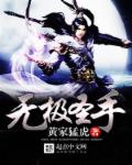 无极圣手封面