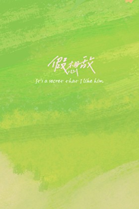 假想敌封面
