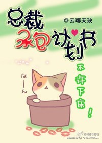 总裁承包策划书封面