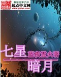 七星暗月封面