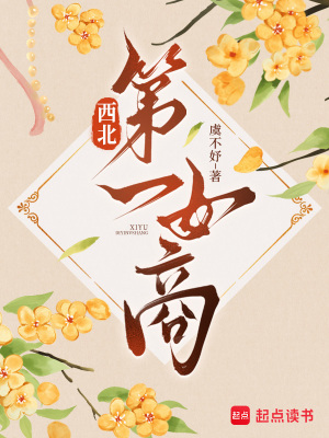 西北第一女商封面