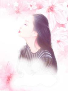 霸道老公小甜妻封面