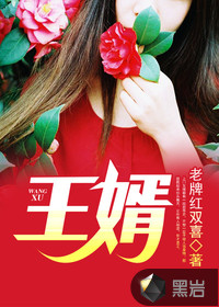 王婿封面