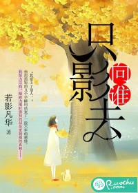 只影向谁去封面