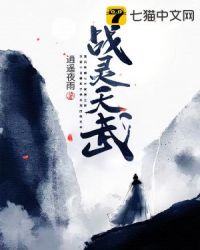 战灵天武封面