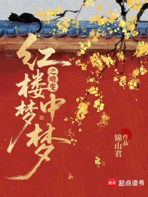 红楼梦中梦之晴雯封面