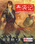 布袋记封面
