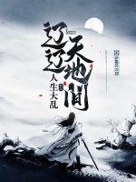 辽辽天地间封面