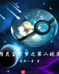精灵宝可梦之第二现实封面
