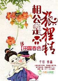 相公是只狐狸精封面