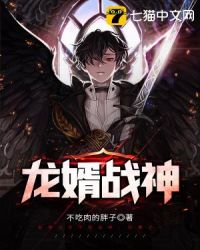 龙婿战神封面