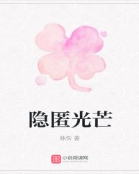 隐匿光芒封面