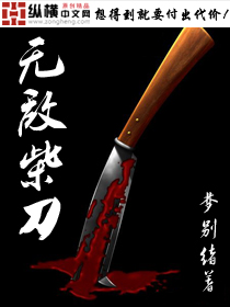 无敌柴刀封面