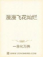 漫漫飞花灿烂封面
