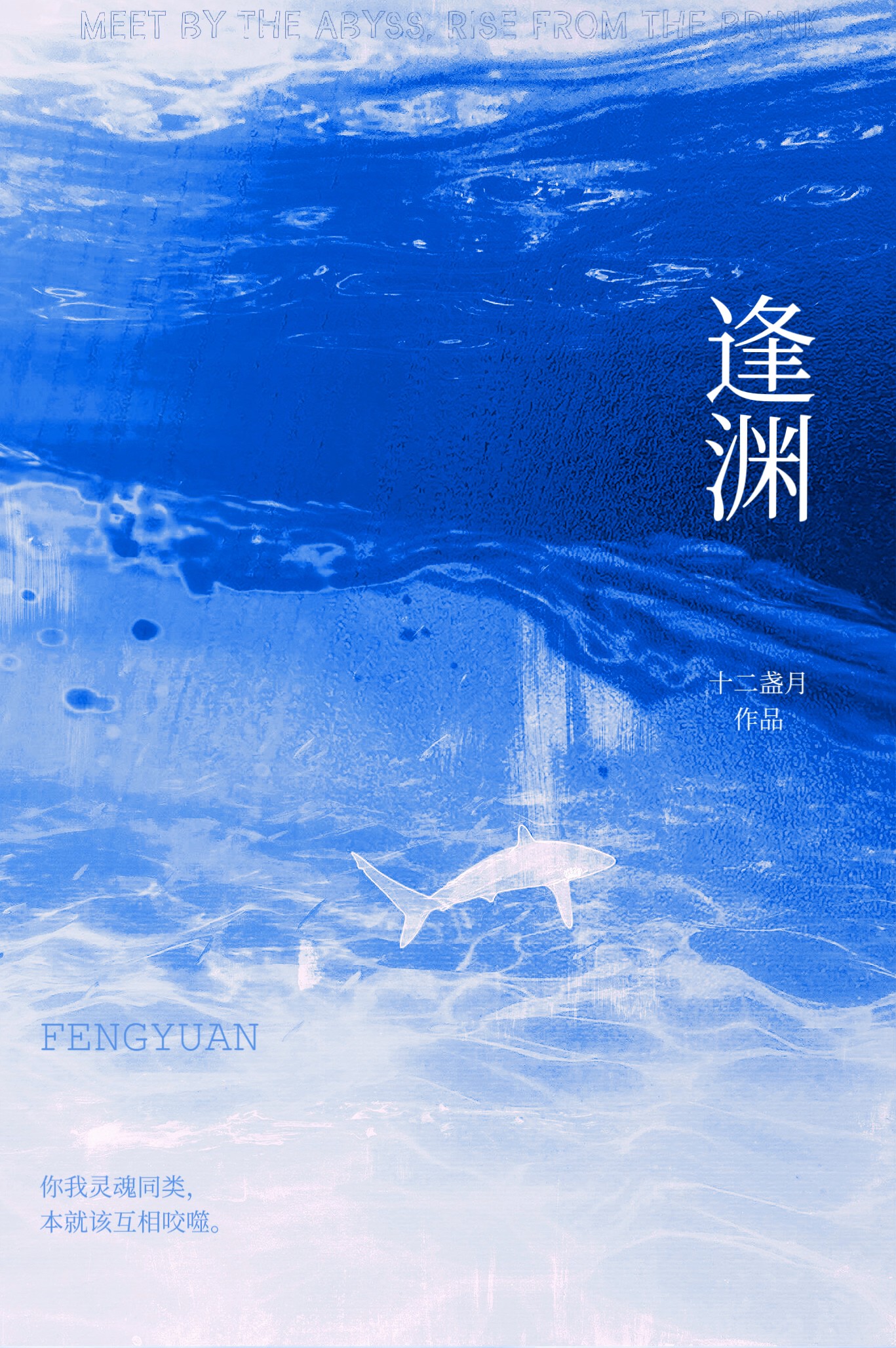 逢渊封面