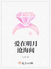 爱在明月沧海间封面