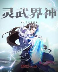 灵武界神封面
