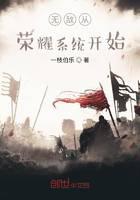 无敌从荣耀系统开始封面