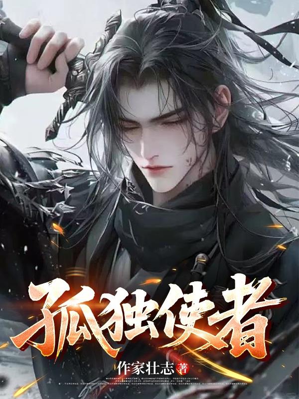 孤独使者封面
