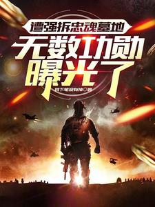 造谣国帅是逃兵，抓你时候你哭啥封面