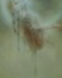 月光宝盒下的恋奴娇封面