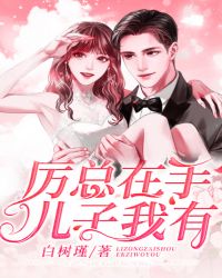 厉总在手儿子我有封面