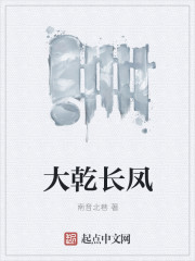 大乾长凤封面
