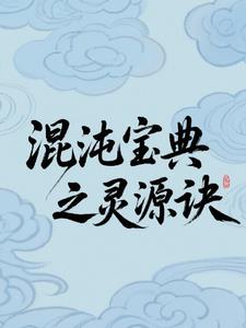 混沌宝典之灵源诀封面