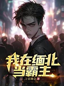 缅北园区喋血记封面