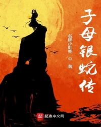 子母银蛇传封面