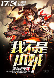 我不是小贼封面
