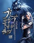 九星幻神劫封面