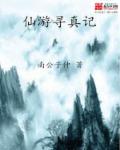 仙游寻真记封面
