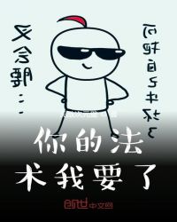 你的法术我要了封面