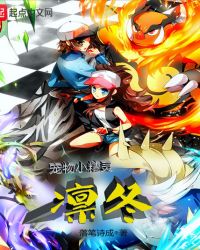 宠物小精灵之凛冬封面