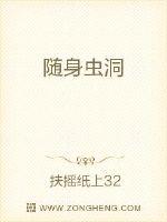 随身虫洞封面