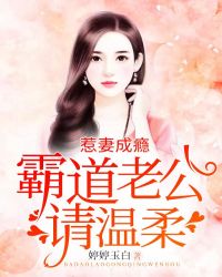 惹妻成瘾：霸道老公请温柔封面