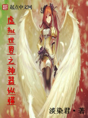 虚拟世界之神器纵横封面