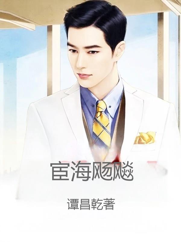 宦海飏飚封面