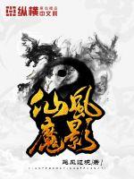 仙风魔影封面