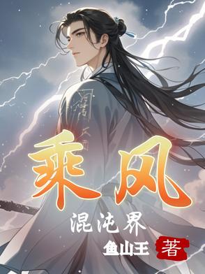 乘风混沌界封面