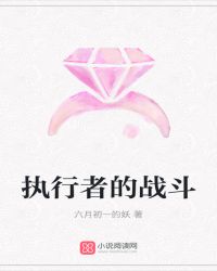 执行者的战斗封面